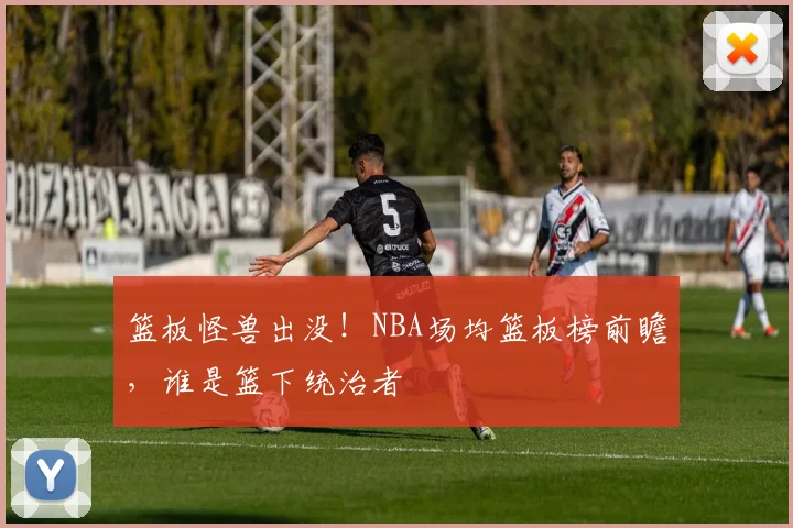 篮板怪兽出没！NBA场均篮板榜前瞻，谁是篮下统治者