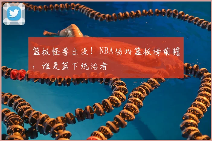 篮板怪兽出没！NBA场均篮板榜前瞻，谁是篮下统治者