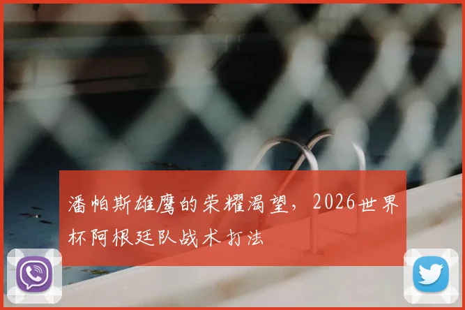 潘帕斯雄鹰的荣耀渴望，2026世界杯阿根廷队战术打法