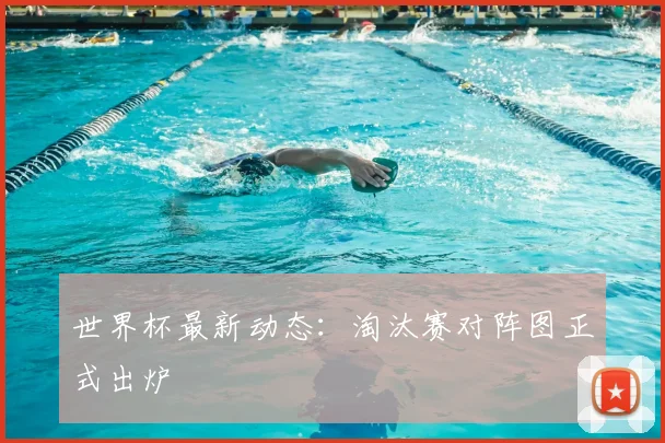 世界杯最新动态:淘汰赛对阵图正式出炉